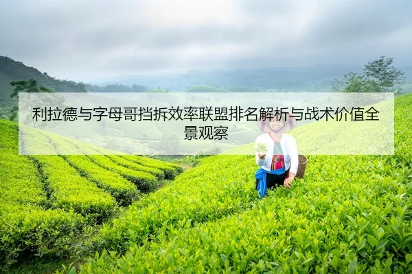 利拉德与字母哥挡拆效率联盟排名解析与战术价值全景观察