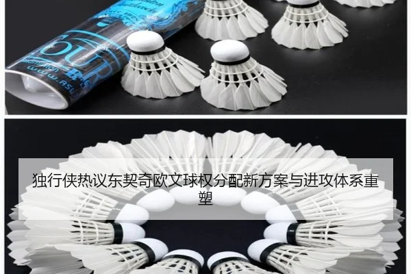 独行侠热议东契奇欧文球权分配新方案与进攻体系重塑